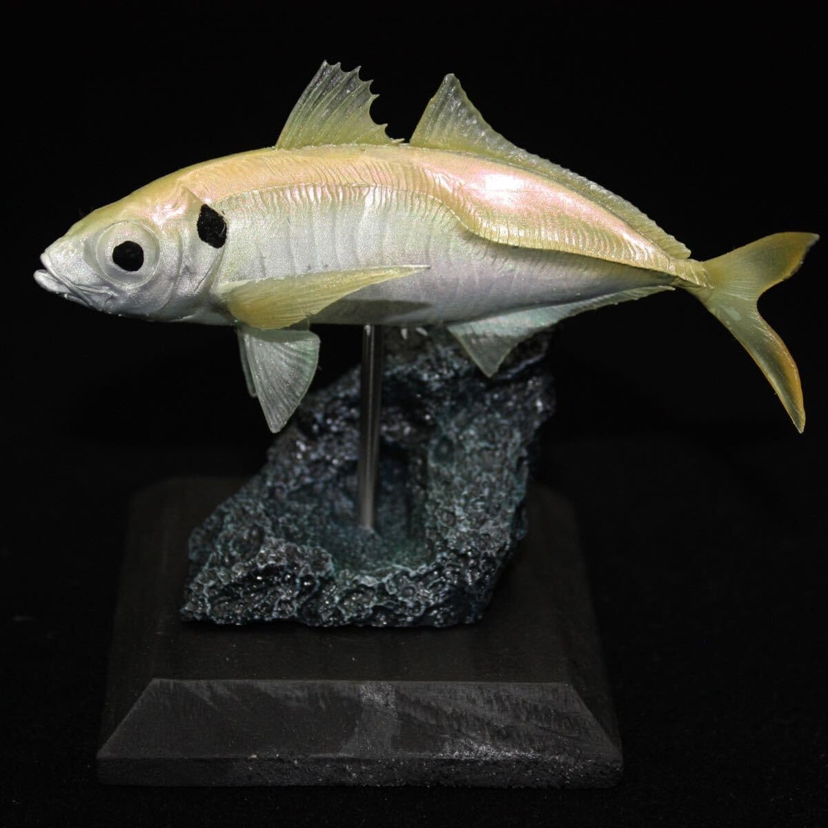 Amazon | アジ フィギュア 魚剥製 剥製 レプリカ メバリング